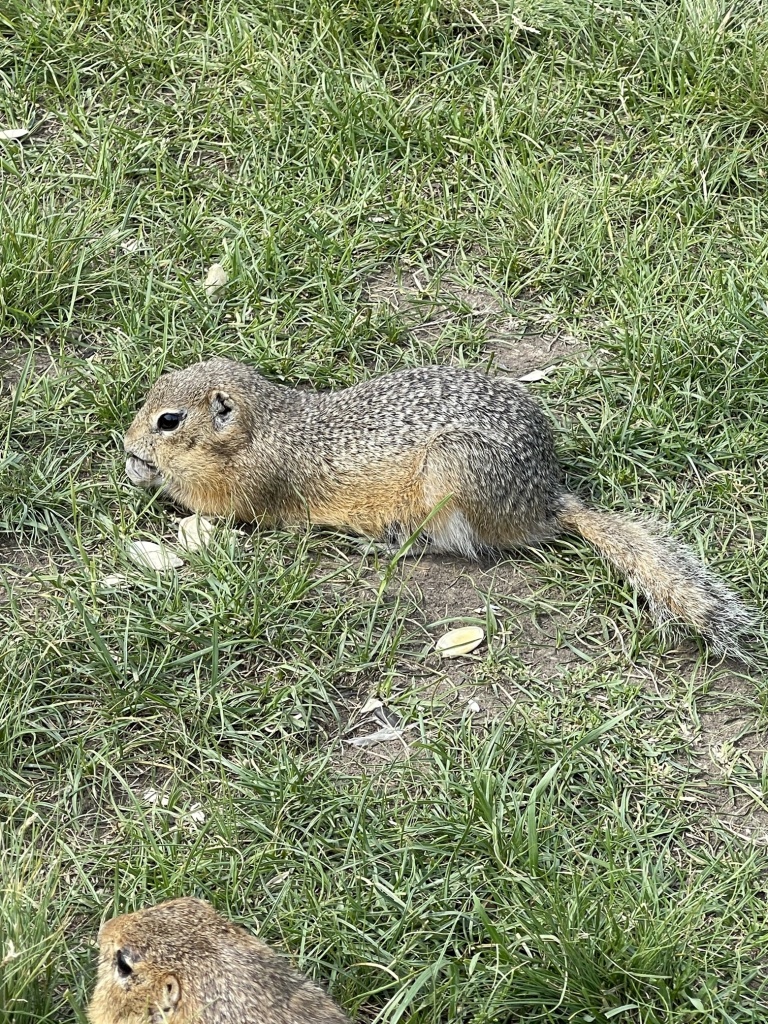 IMG_0686 2.jpg
